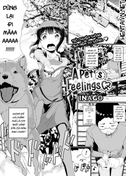 Truyenhentai18 - Đọc hentai A Pet's Feelings Online