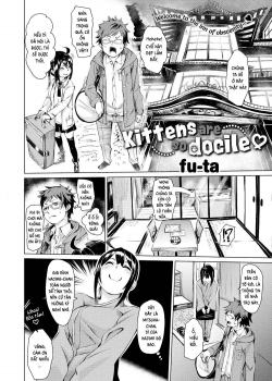 Truyenhentai18 - Đọc hentai Kittens Are So Docile Online