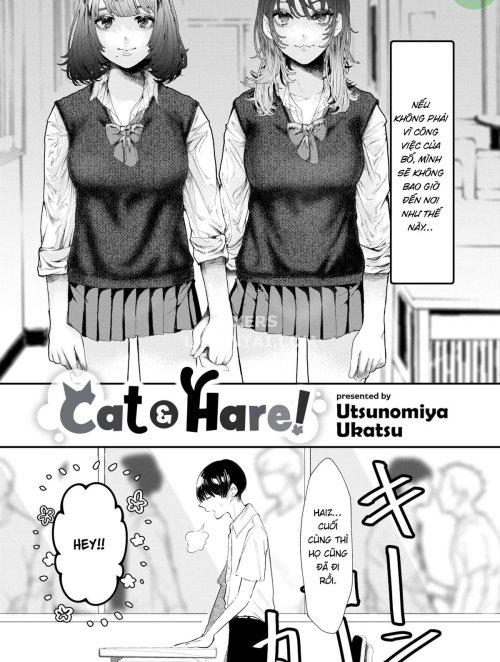 Truyenhentai18 - Đọc hentai Cat Hare! Online