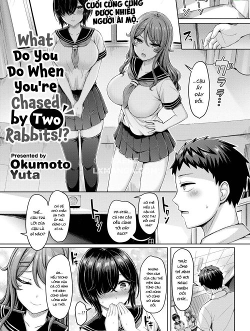 Truyenhentai18 - Đọc hentai What Do You Do When You're Chased By Two Rabbit Online